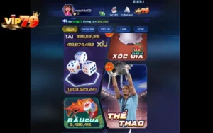 Lịch sử tên miền Vip79